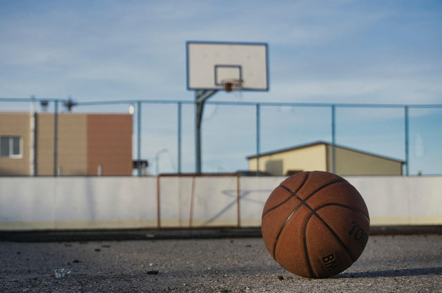 Volleyball & Basketball