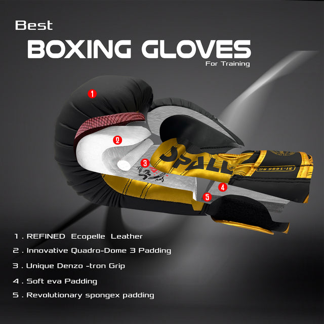 Boxing Gloves For Sparring Training & Fighting Lightweight (SI-1666)