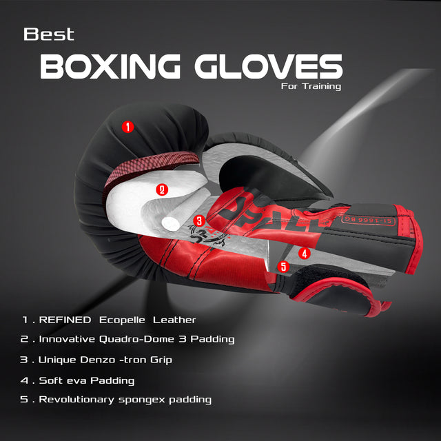 Boxing Gloves For Sparring Training & Fighting Lightweight (SI-1666)