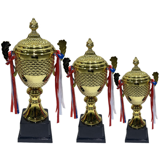 Trophies 3 Pcs First Place Winner awards For Sport Tournaments Competitions Honor Game Sports Match School Award game Prize Party Prize And Appreciation Gifts