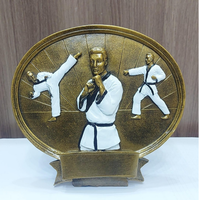 Karate Round Trophy – Premium Martial Arts Award for Champions & Competitions HX1136-A8