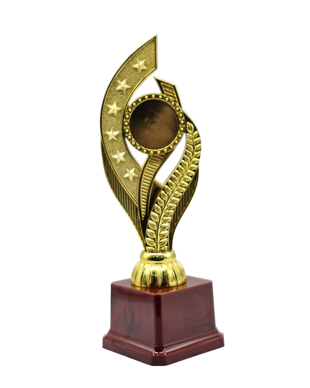 24cm Gold Gift Trophy with Stars & Red Base | Awards & Achievement Recognition 961