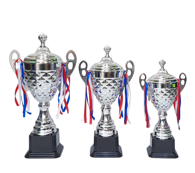 Set of 3 Silver Trophies – 54/47/40cm | Premium Awards for Competitions & Achievements 4069