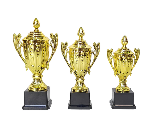 Set of 3 Gold Trophies – 29/26/23cm | Premium Awards for Competitions & Achievements YG-226