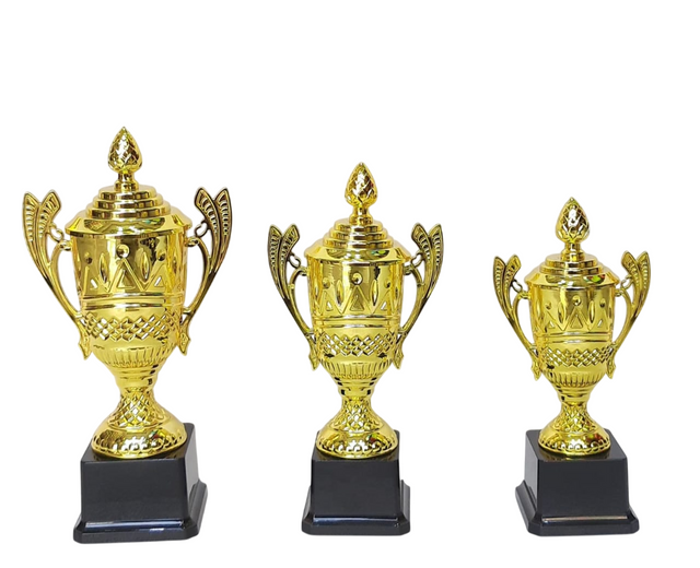 Set of 3 Gold Trophies – 28/25/23cm | Premium Awards for Competitions & Achievements YG-243