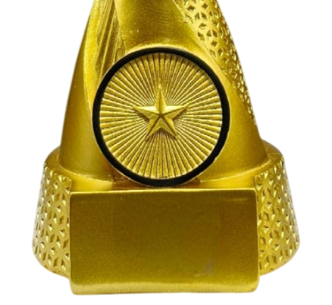 Golden Cricket Trophy with Red Ball – Premium Award for Tournaments & Achievements HX-5707 C8