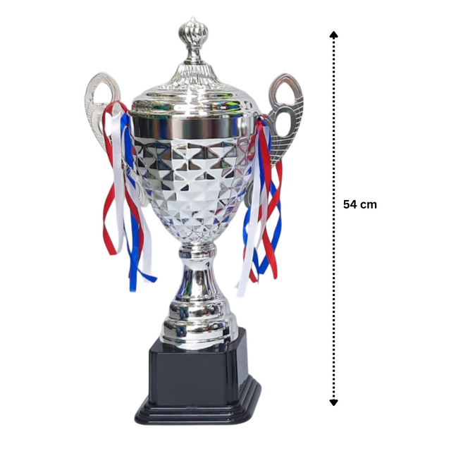 Set of 3 Silver Trophies – 54/47/40cm | Premium Awards for Competitions & Achievements 4069