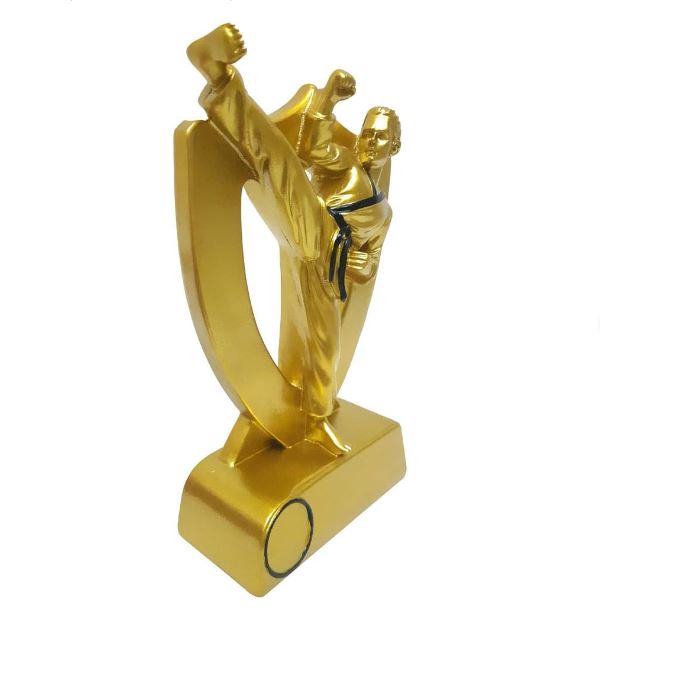 karate Trophy Height 18.5 cm Width 12.5 cm Depth 4.5 cm Gold For Sports Tournaments Ceremony Competitions Party Favors Champions Cup Sport Winning Awards Incentive Gifts(SI-2474 A5)