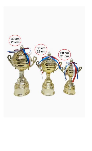 Trophy Set Of Three Resin Decoration Electroplating crafts Ornaments