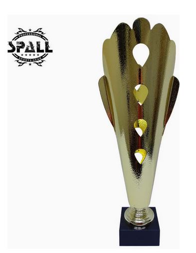 Trophy Award Height 43 cm Width 19 cm Depth 9 cm Gold/Silver Base Black For Award Ceremony Birthday Party Classroom Prize Office Competition for Boys Girls Teens and Adults