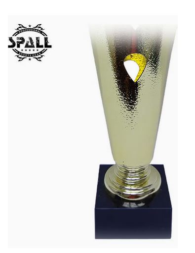 Trophy Award Height 43 cm Width 19 cm Depth 9 cm Gold/Silver Base Black For Award Ceremony Birthday Party Classroom Prize Office Competition for Boys Girls Teens and Adults