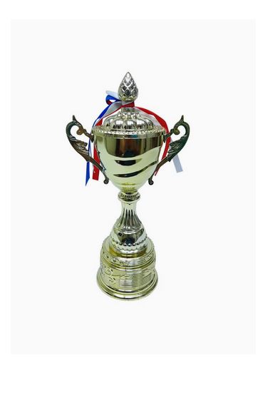 Trophy With Resin Decoration Electroplating Ornaments