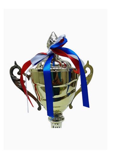 Trophy With Resin Decoration Electroplating Ornaments