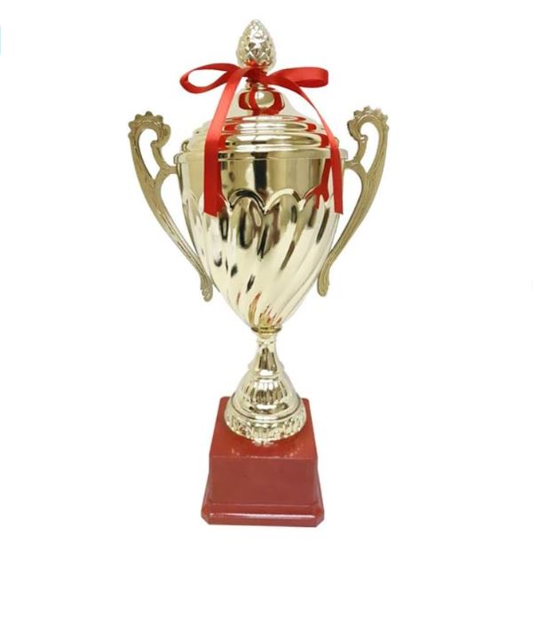 Gold Trophy Cups Height 37cm Width 19cm Depth 9cm Gold Base Red for Party Favors Props Rewards Winning Prizes Competitions Sports Tournaments Competitions(D5-A)