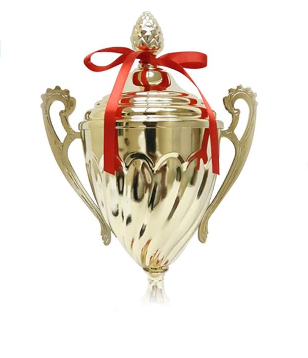 Gold Trophy Cups Height 37cm Width 19cm Depth 9cm Gold Base Red for Party Favors Props Rewards Winning Prizes Competitions Sports Tournaments Competitions(D5-A)