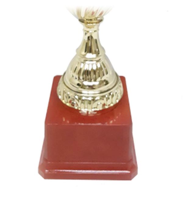 Gold Trophy Cups Height 37cm Width 19cm Depth 9cm Gold Base Red for Party Favors Props Rewards Winning Prizes Competitions Sports Tournaments Competitions(D5-A)