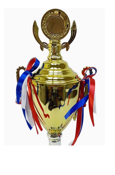 Trophy With Resin Decoration Electroplating Ornament